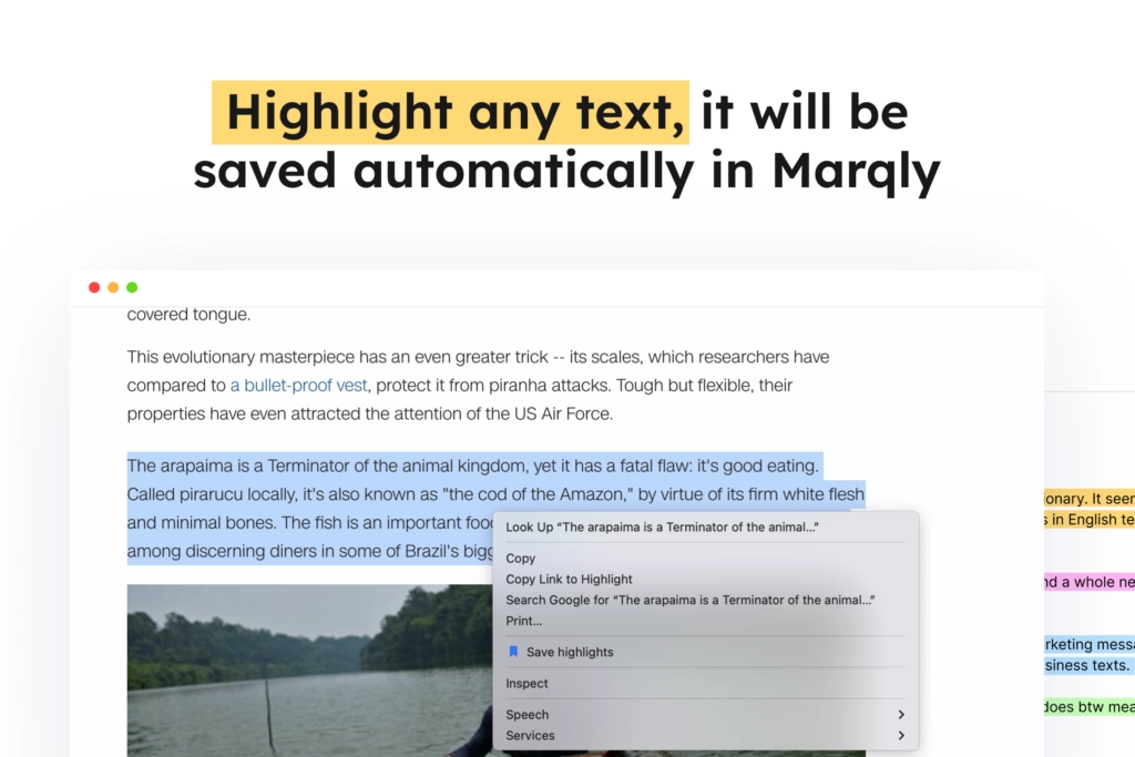 Marqly Lifetime Deal highlight any text